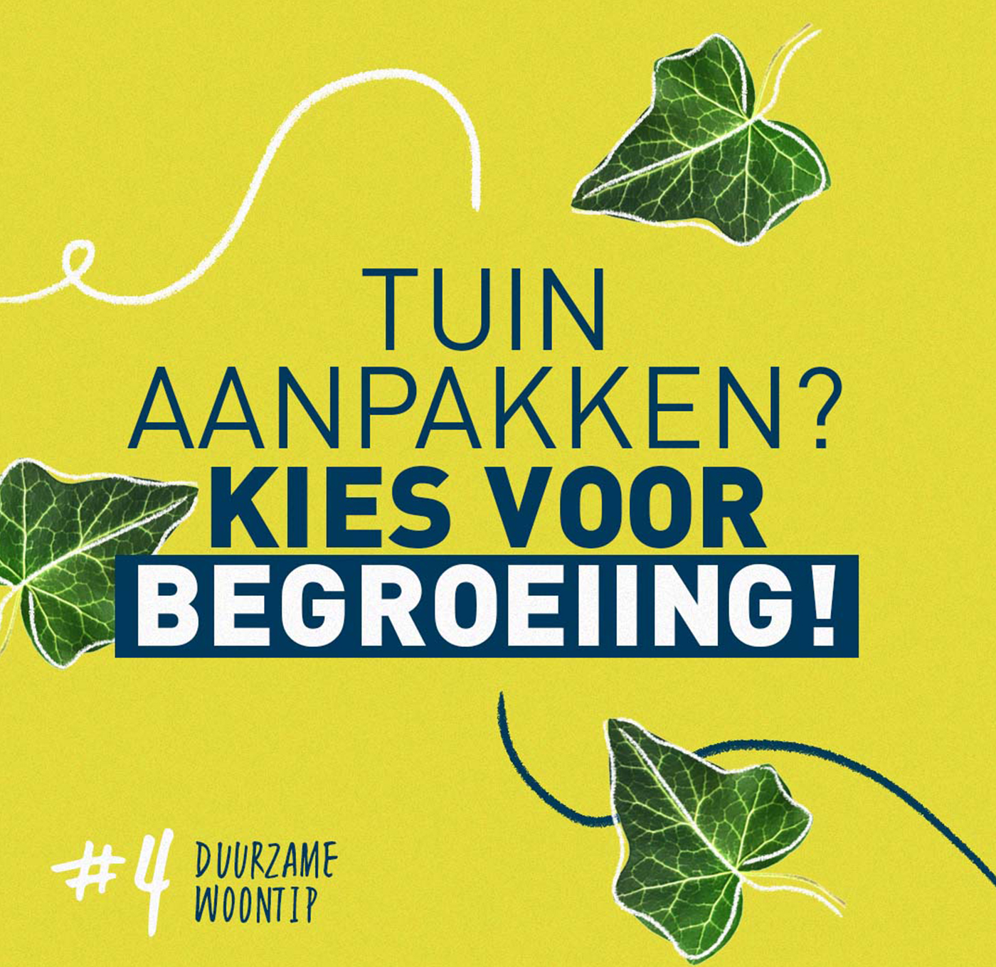 Tuin aanpakken? Kies voor begroeiing!