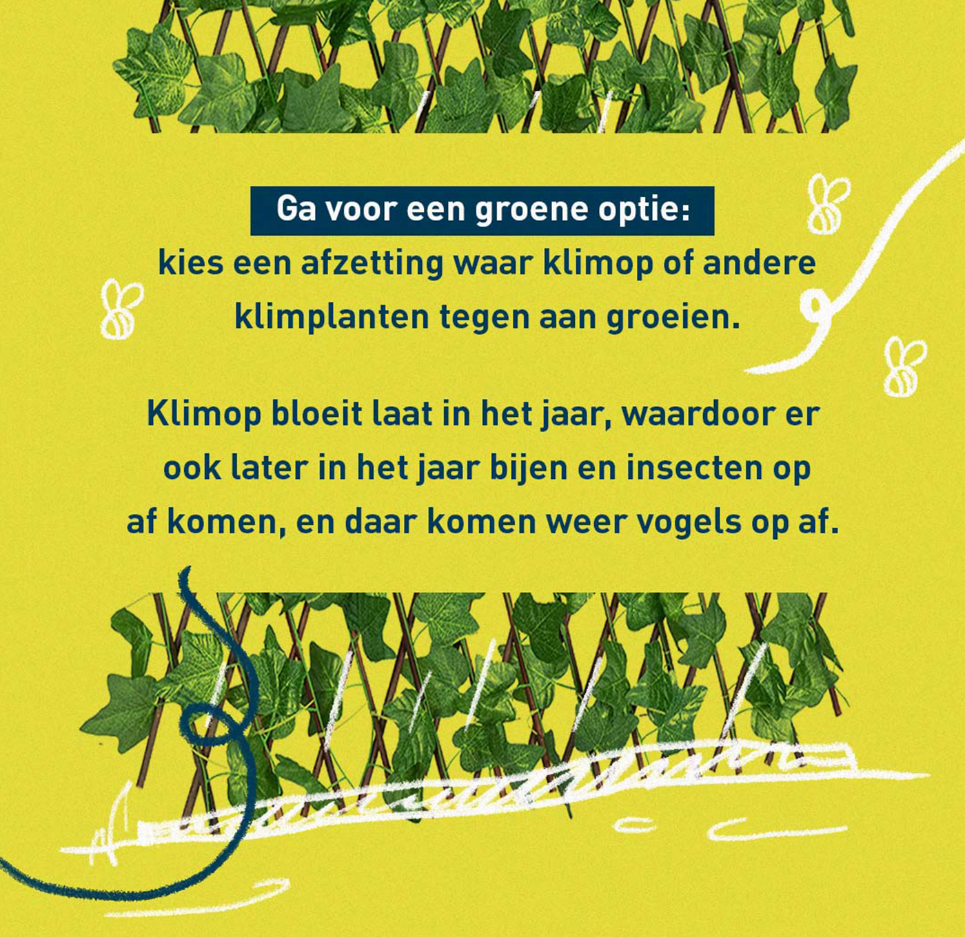 Tuin aanpakken? Kies voor begroeiing!