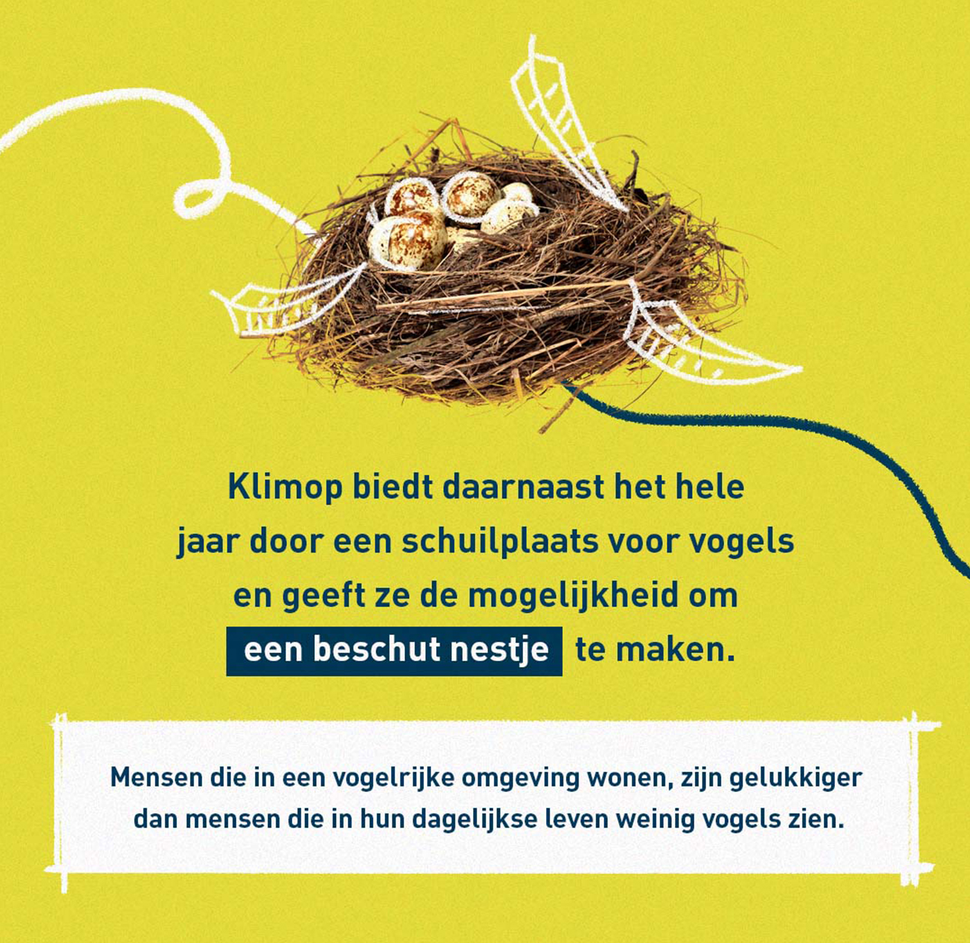 Tuin aanpakken? Kies voor begroeiing!